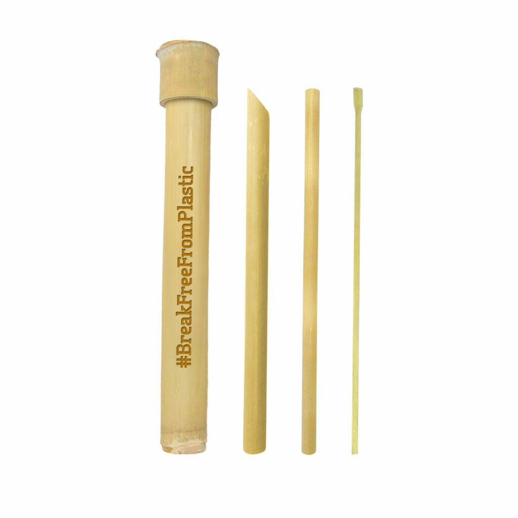 Bamboo Straw Set in Bamboo Casing