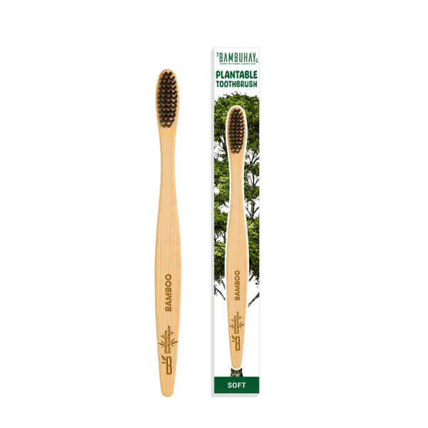 bambuhay subscription quarterly plantable toothbrush